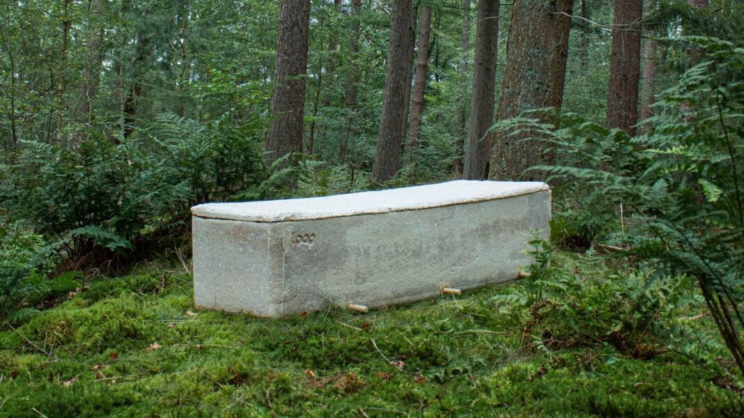 В Голландии придумали экологичные гробы из грибов